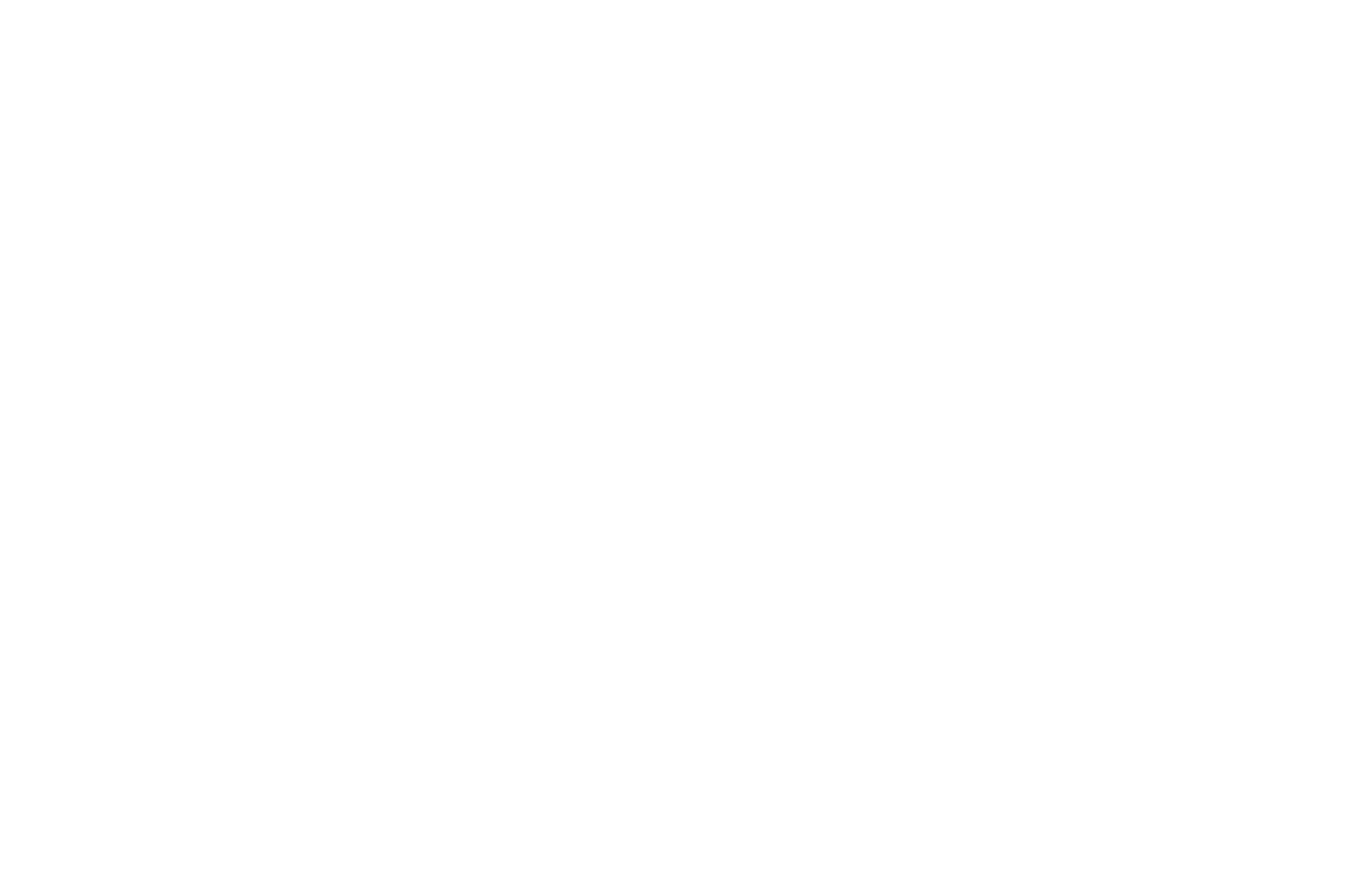 BEST MUSIC VIDEO - Toronto Indie Filmmakers Festival - 2021