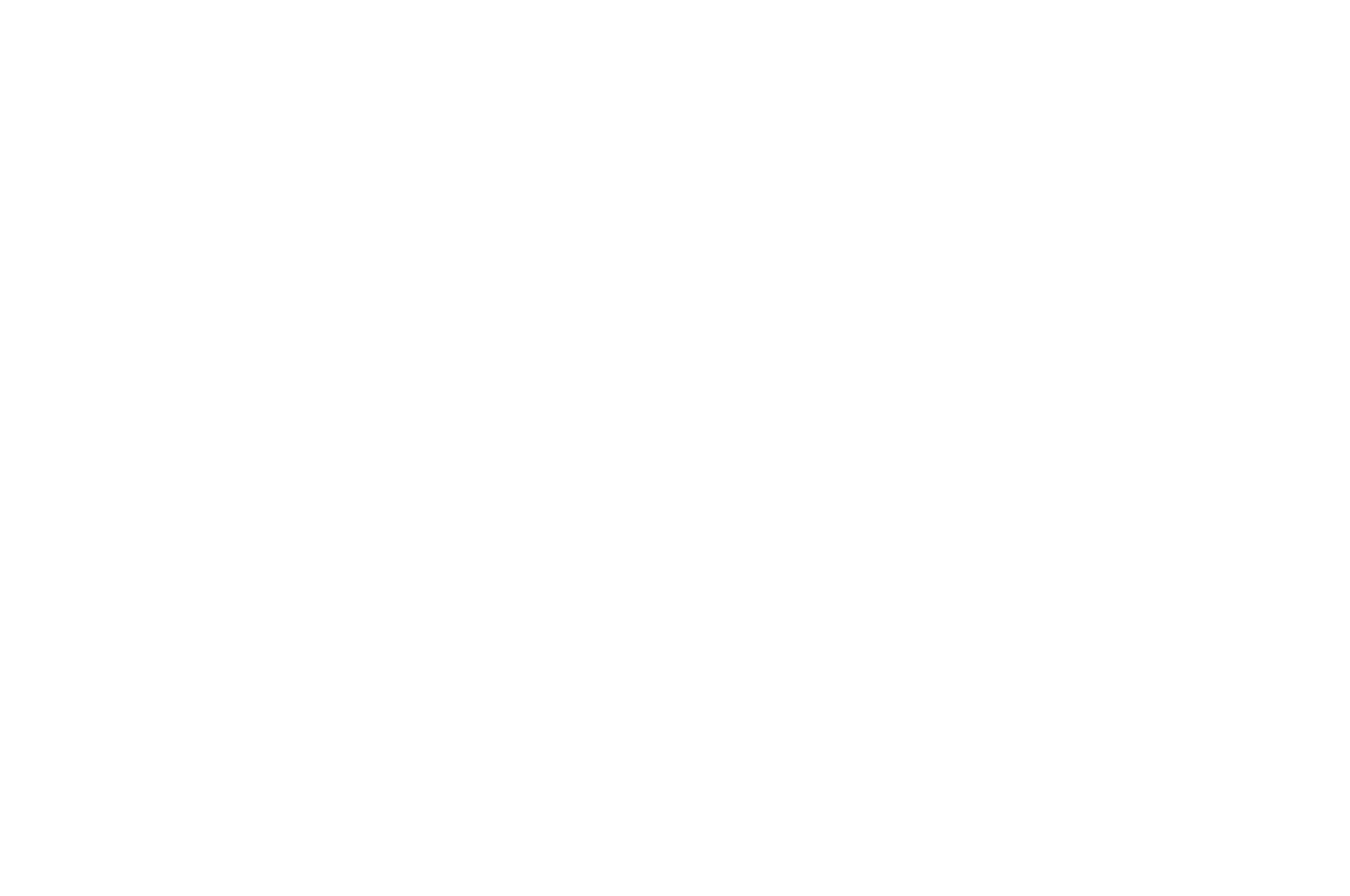 BEST VFX ARTIST - World Film Carnival - Singapore - 2022