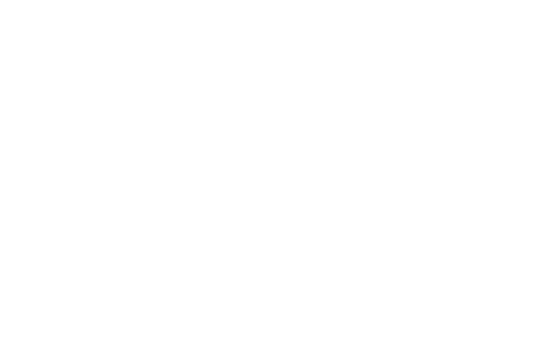 BEST DIRECTOR - CINEVILLE CALCUTTA GLOBAL CINEFEST - 2020