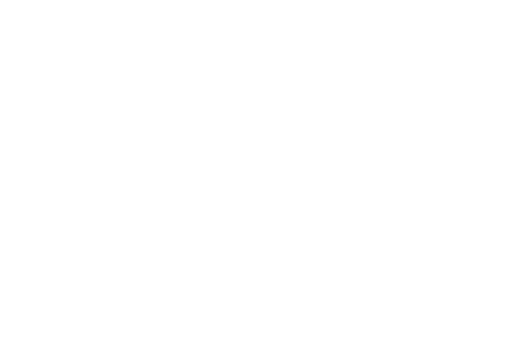 BEST DIRECTOR - GOLD - Virgin Spring Cinefest - 2020