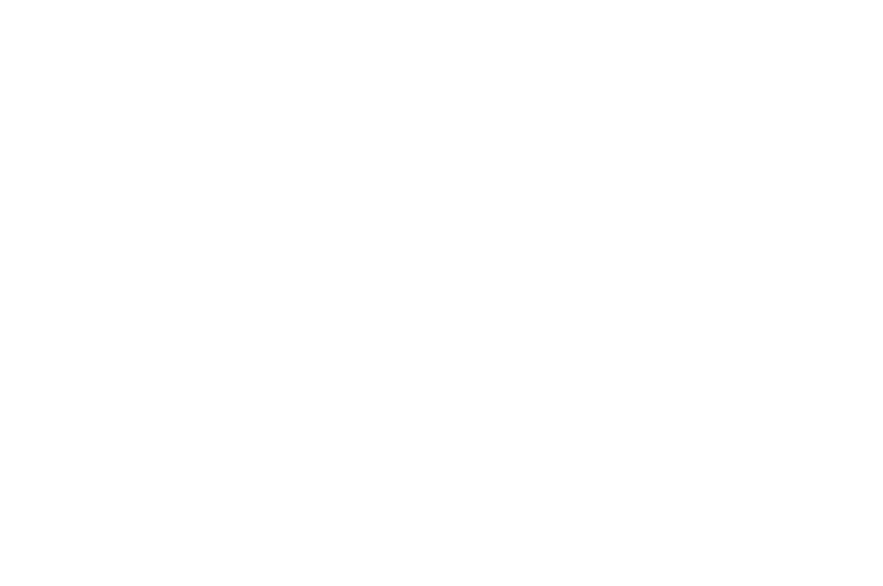 BEST MUSIC SCORE - SILVER - Virgin Spring Cinefest - 2020