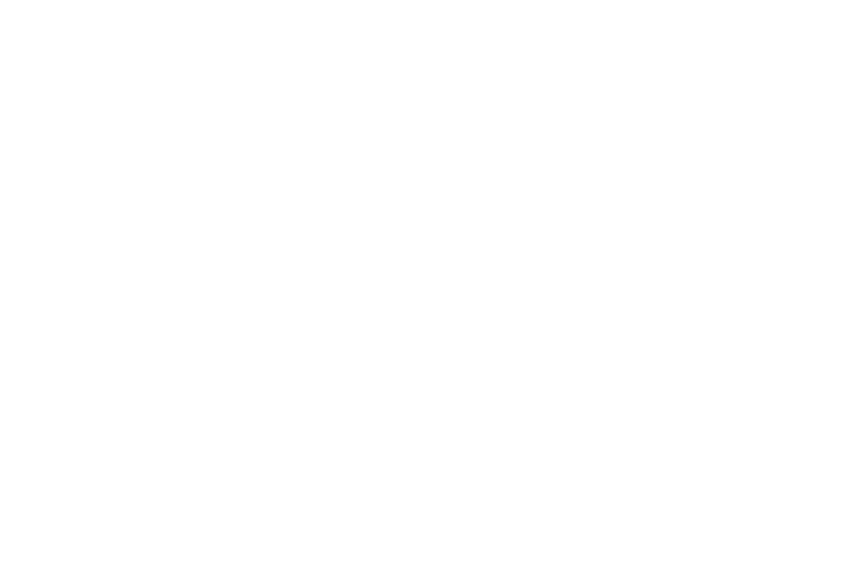 MUSIC VIDEO - SILVER - Virgin Spring Cinefest - 2020