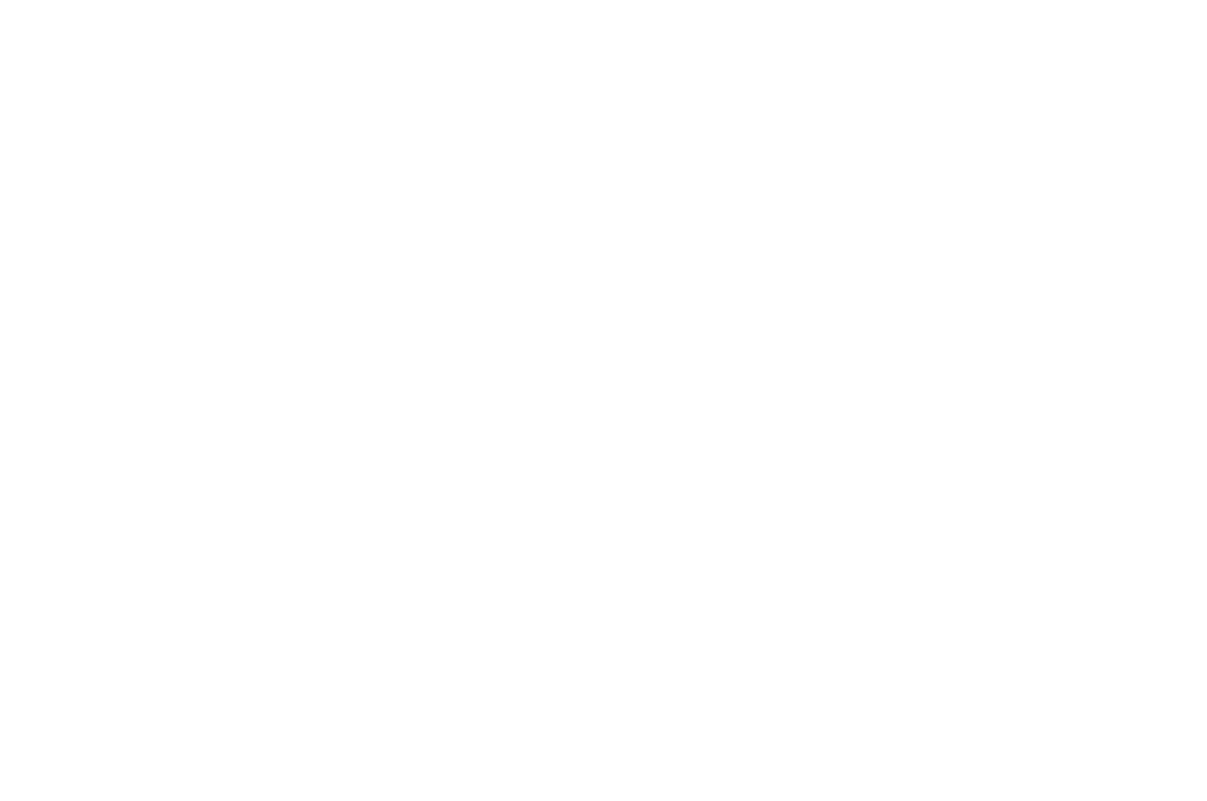 SPECIAL JURY AWARD - PORTUGAL INTERNATIONAL FILM FESTIVAL - 2021
