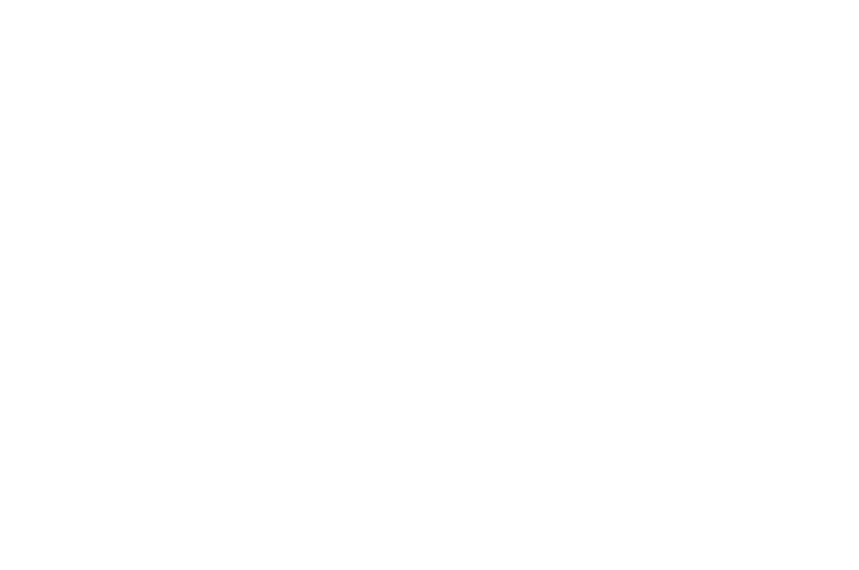 SPECIAL JURY AWARD - SPAIN INTERNATIONAL FILM FESTIVAL - 2021